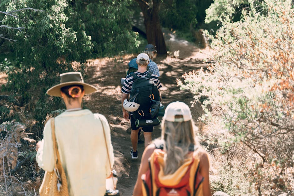 A group of adults hiking on a sunny day through a forested path showcasing adventure and exploration