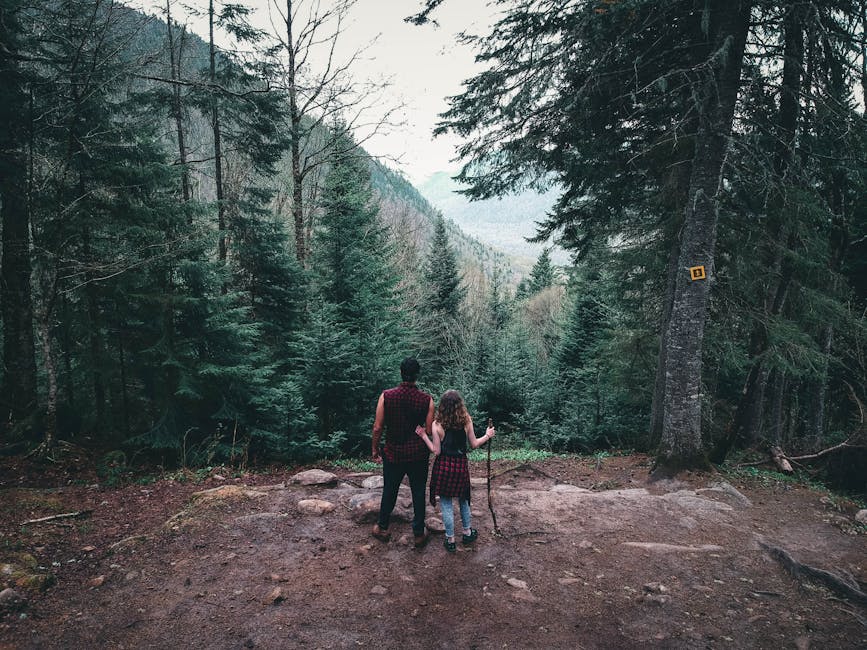 Couple enjoying a scenic hike in a lush Canadian forest, surrounded by evergreen trees